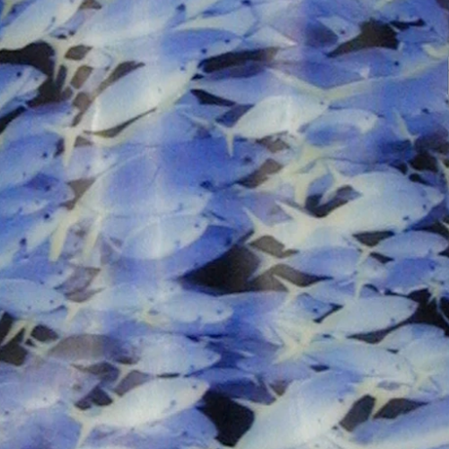 Dynamic Orthopedics Transfer Paper Ocean Fish