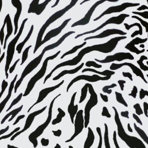 Dynamic Orthopedics Transfer Paper Zebra
